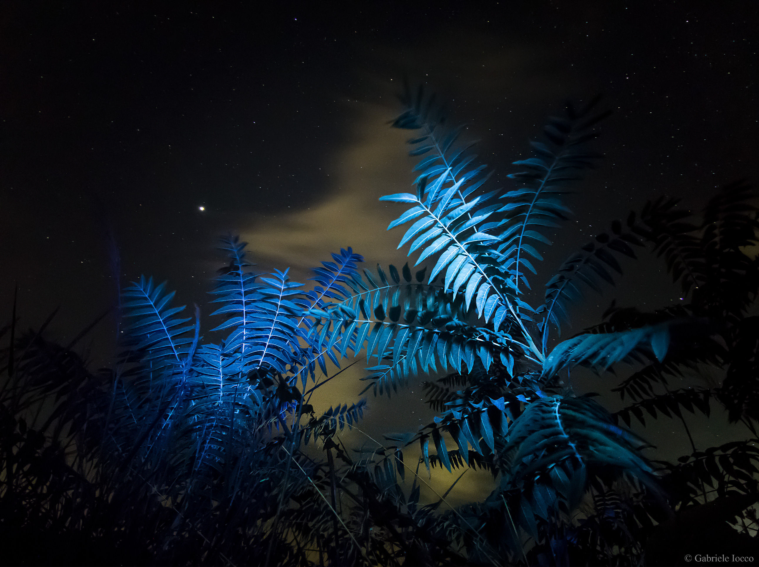 Xiaomi Mi Note 10 scatto singolo