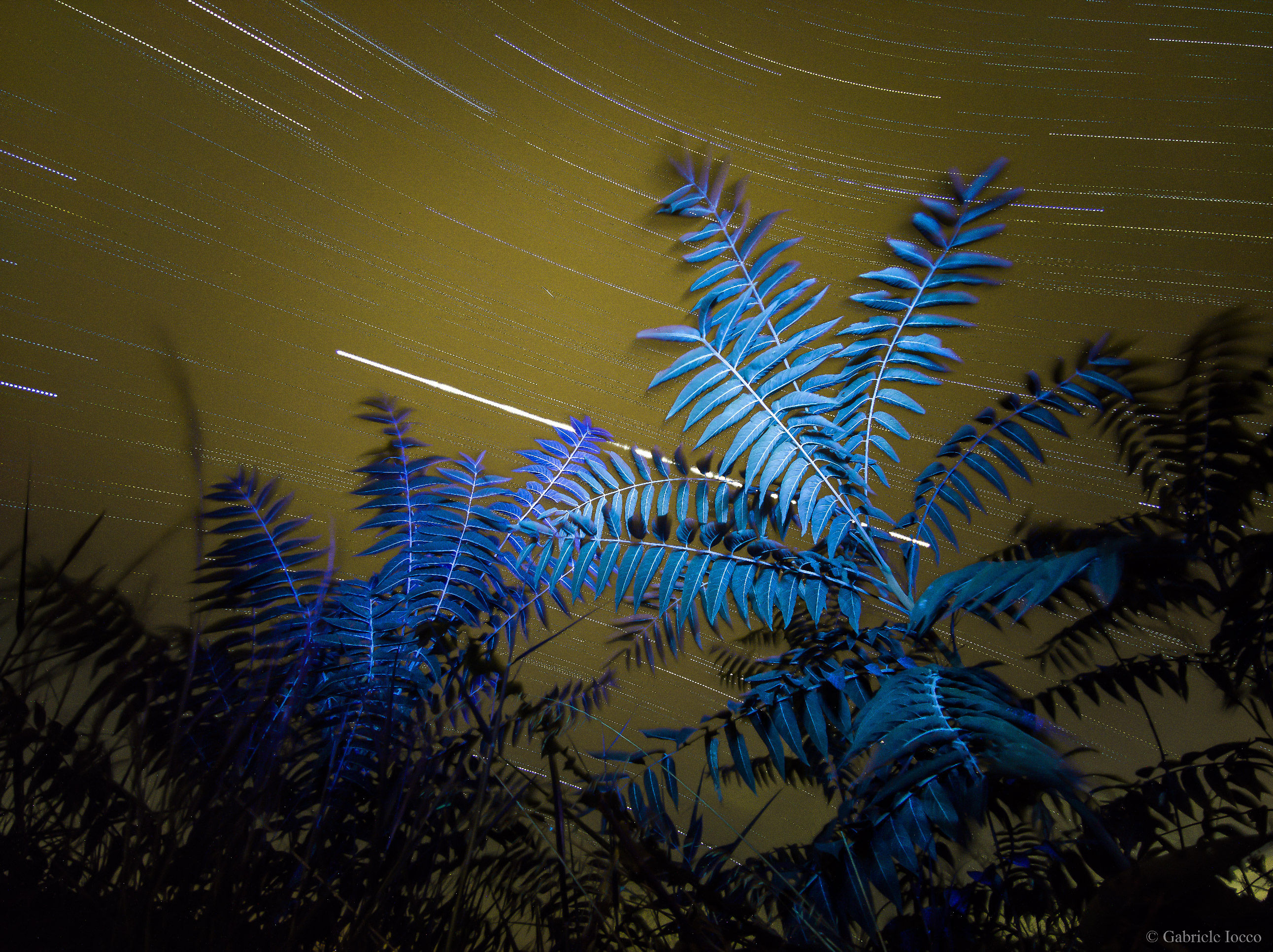Xiaomi Mi Note 10 startrail, le nuvole riflettono l'inquinamento luminoso