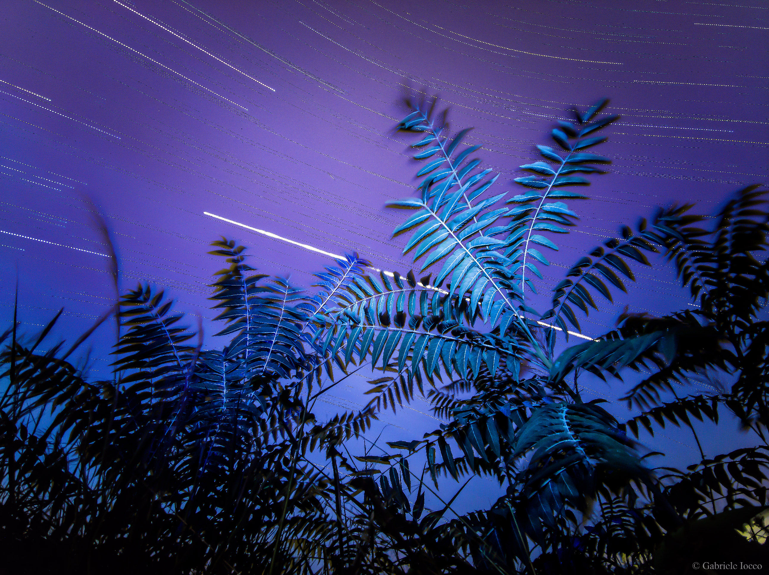 Xiaomi Mi Note 10 startrail, i colori blu e viola sono dovuti alle prime luci dell'alba